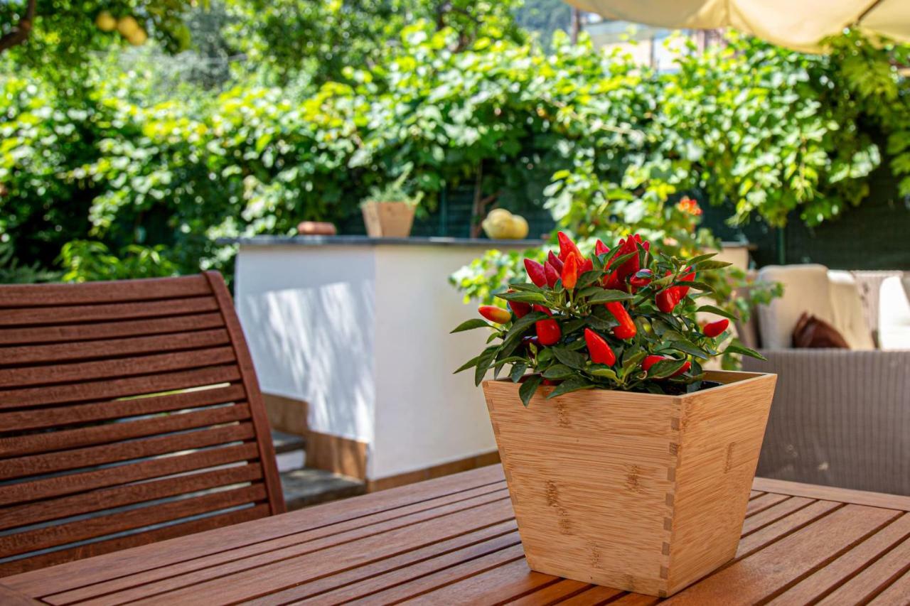ホテル Xenia House ソレント エクステリア 写真